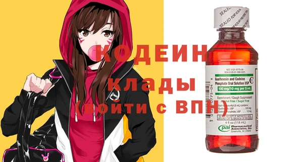 гашик Елизово