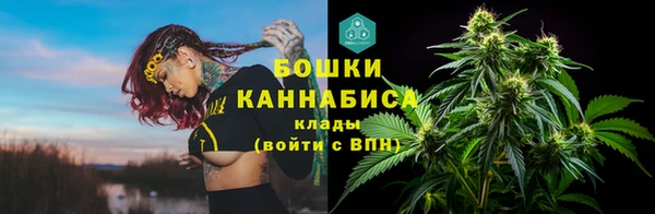 гашик Елабуга