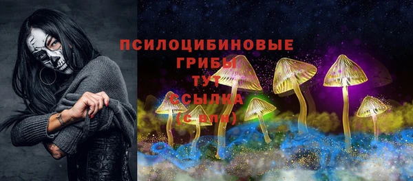 скорость Ельня