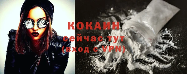 гашик Елизово